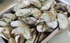 无翼乌全彩集少女漫画大全